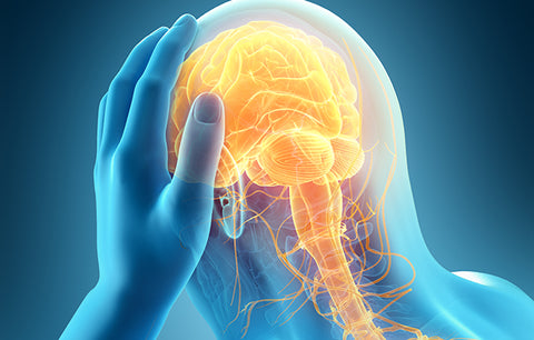 Hochsensible HSP • Neurosensitive